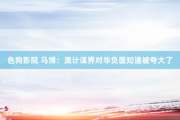 色狗影院 马博：澳计谋界对华负面知道被夸大了