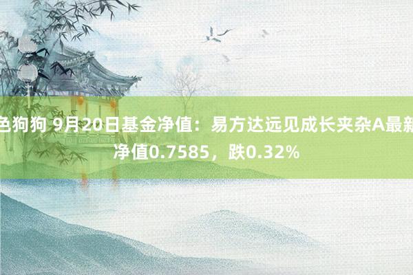 色狗狗 9月20日基金净值：易方达远见成长夹杂A最新净值0.7585，跌0.32%