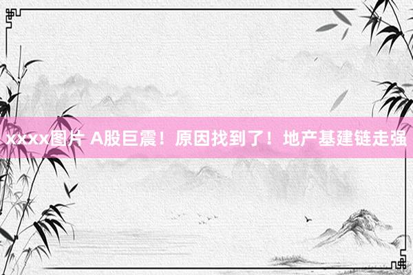 xxxx图片 A股巨震！原因找到了！地产基建链走强