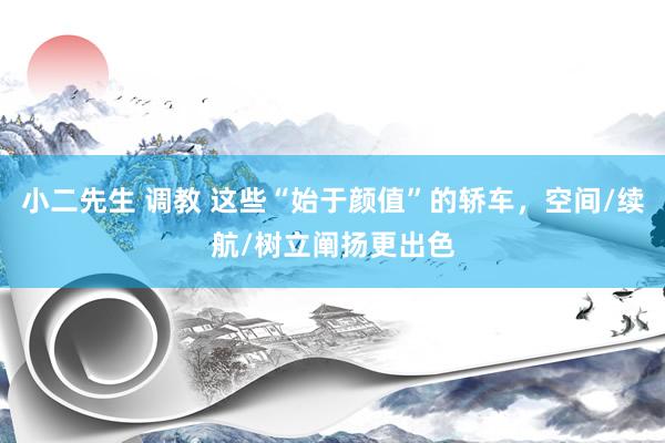 小二先生 调教 这些“始于颜值”的轿车，空间/续航/树立阐扬更出色