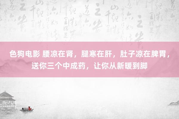 色狗电影 腰凉在肾，腿寒在肝，肚子凉在脾胃，送你三个中成药，让你从新暖到脚