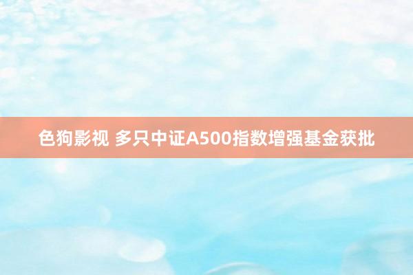 色狗影视 多只中证A500指数增强基金获批