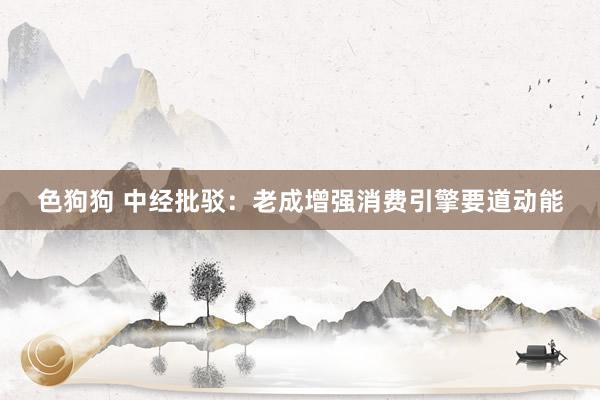 色狗狗 中经批驳：老成增强消费引擎要道动能