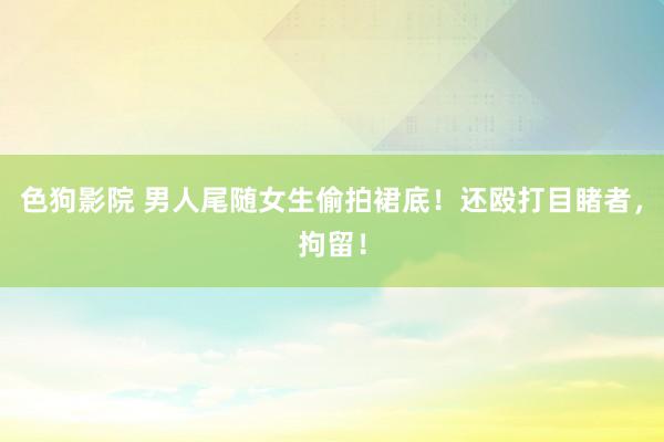 色狗影院 男人尾随女生偷拍裙底！还殴打目睹者，拘留！