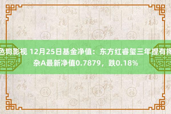 色狗影视 12月25日基金净值：东方红睿玺三年捏有搀杂A最新净值0.7879，跌0.18%