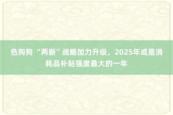 色狗狗 “两新”战略加力升级，2025年或是消耗品补贴强度最大的一年