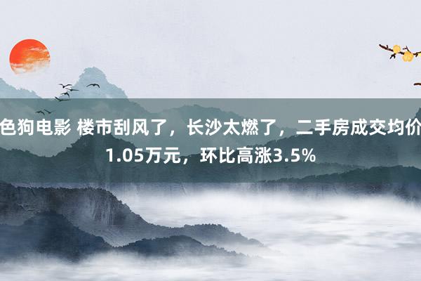 色狗电影 楼市刮风了，长沙太燃了，二手房成交均价1.05万元，环比高涨3.5%