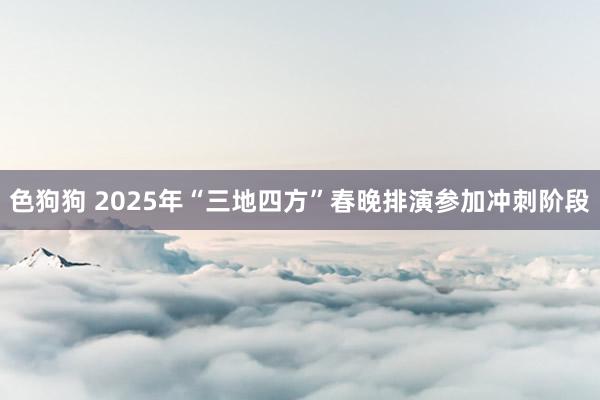 色狗狗 2025年“三地四方”春晚排演参加冲刺阶段