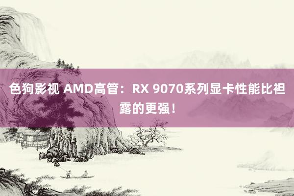 色狗影视 AMD高管：RX 9070系列显卡性能比袒露的更强！