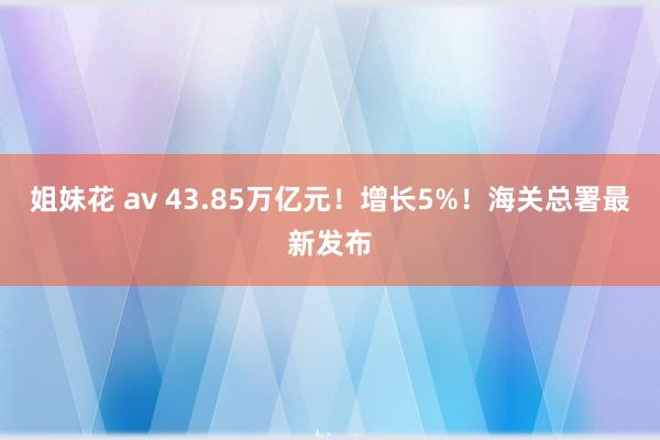姐妹花 av 43.85万亿元！增长5%！海关总署最新发布