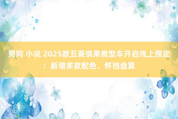 男同 小说 2025款五菱缤果微型车开启线上预定：新增多款配色、怀挡盘算