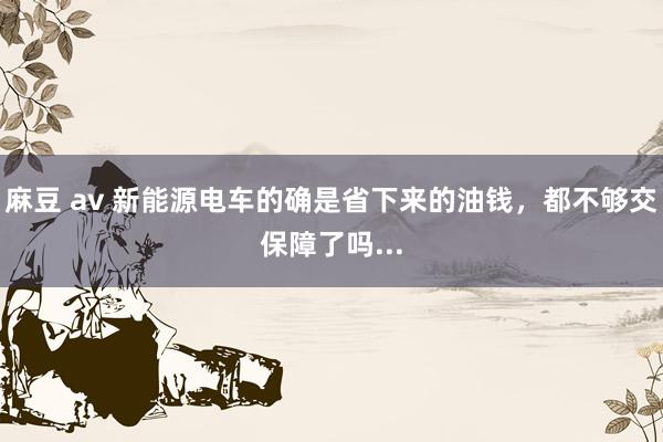 麻豆 av 新能源电车的确是省下来的油钱，都不够交保障了吗...