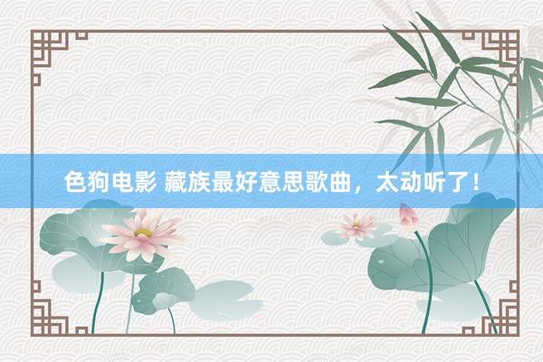 色狗电影 藏族最好意思歌曲，太动听了！