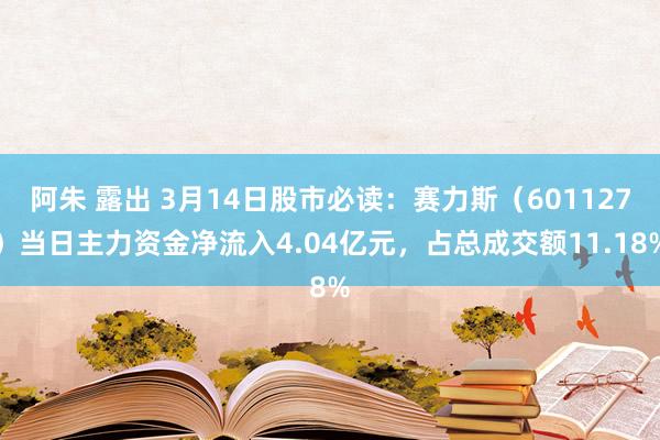 阿朱 露出 3月14日股市必读：赛力斯（601127）当日主力资金净流入4.04亿元，占总成交额11.18%
