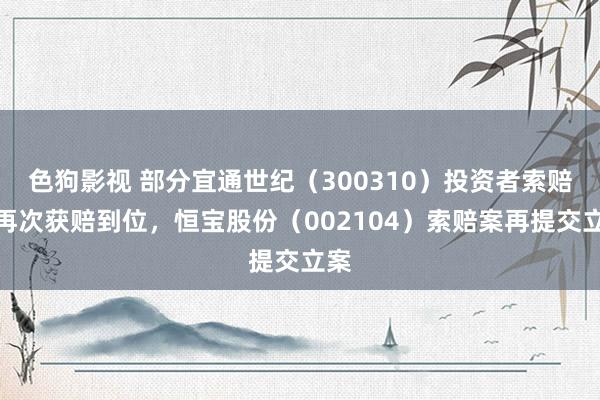 色狗影视 部分宜通世纪（300310）投资者索赔案再次获赔到位，恒宝股份（002104）索赔案再提交立案