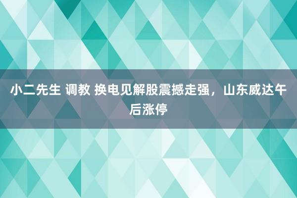 小二先生 调教 换电见解股震撼走强，山东威达午后涨停