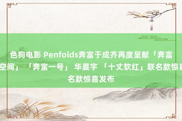 色狗电影 Penfolds奔富于成齐再度呈献「奔富•体验空间」 「奔富一号」 华晨宇 「十丈软红」联名款惊喜发布