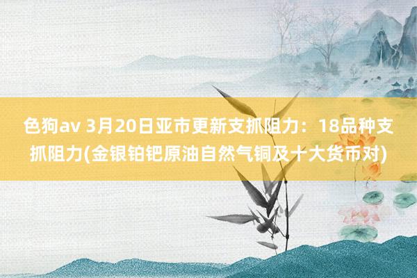 色狗av 3月20日亚市更新支抓阻力：18品种支抓阻力(金银铂钯原油自然气铜及十大货币对)