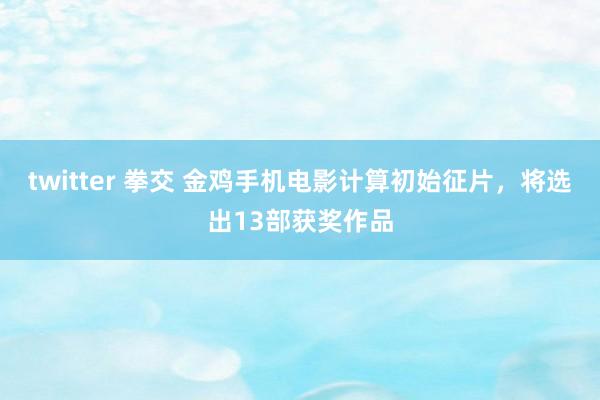 twitter 拳交 金鸡手机电影计算初始征片，将选出13部获奖作品