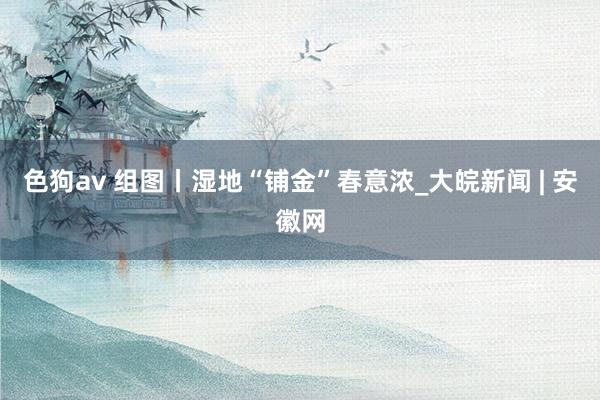 色狗av 组图丨湿地“铺金”春意浓_大皖新闻 | 安徽网