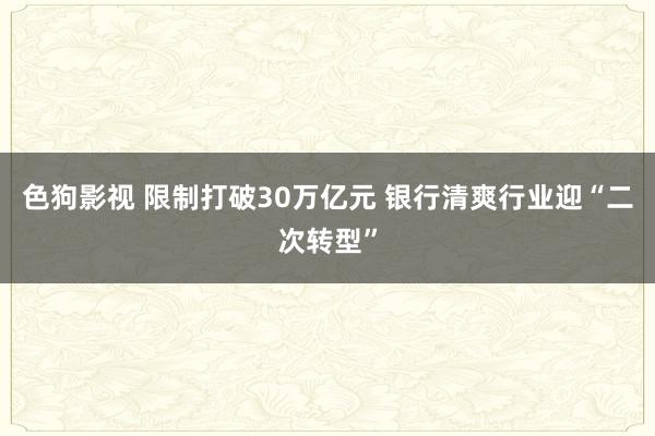 色狗影视 限制打破30万亿元 银行清爽行业迎“二次转型”