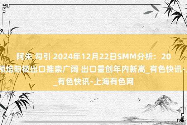 阿朱 勾引 2024年12月22日SMM分析：2024年11月预焙阳极出口推崇广阔 出口量创年内新高_有色快讯-上海有色网