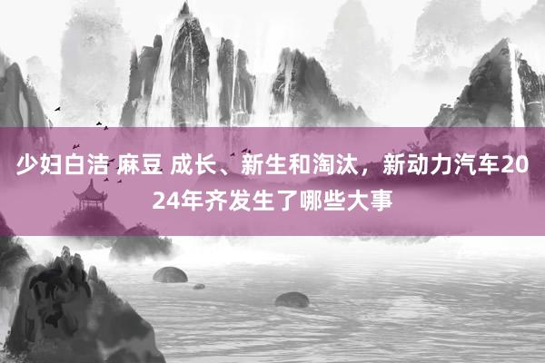少妇白洁 麻豆 成长、新生和淘汰，新动力汽车2024年齐发生了哪些大事