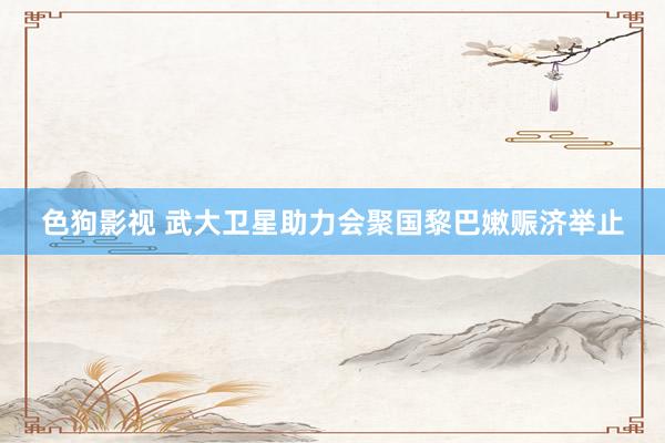 色狗影视 武大卫星助力会聚国黎巴嫩赈济举止