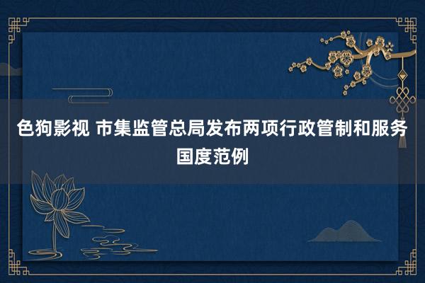 色狗影视 市集监管总局发布两项行政管制和服务国度范例