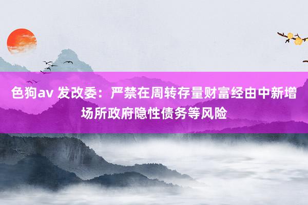 色狗av 发改委：严禁在周转存量财富经由中新增场所政府隐性债务等风险