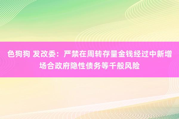 色狗狗 发改委：严禁在周转存量金钱经过中新增场合政府隐性债务等千般风险