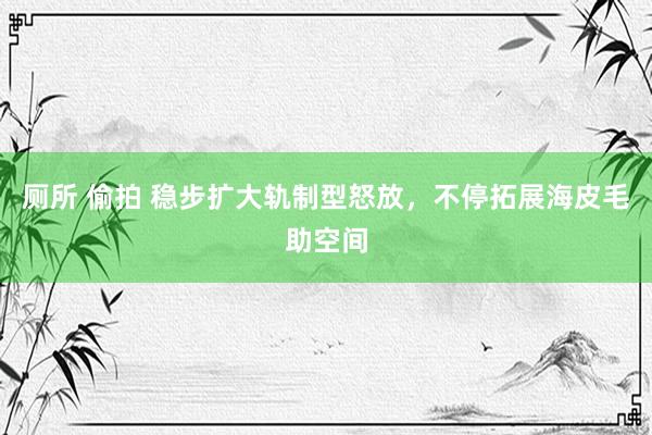 厕所 偷拍 稳步扩大轨制型怒放，不停拓展海皮毛助空间