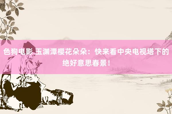 色狗电影 玉渊潭樱花朵朵：快来看中央电视塔下的绝好意思春景！