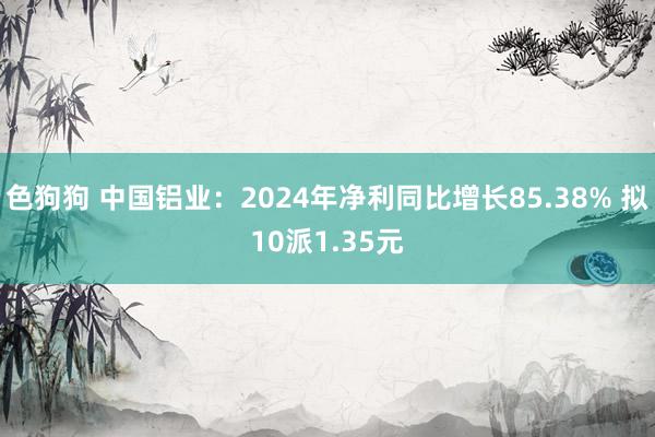 色狗狗 中国铝业：2024年净利同比增长85.38% 拟10派1.35元