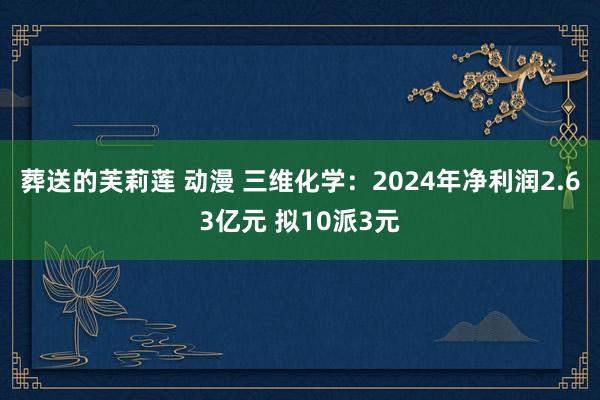 葬送的芙莉莲 动漫 三维化学：2024年净利润2.63亿元 拟10派3元