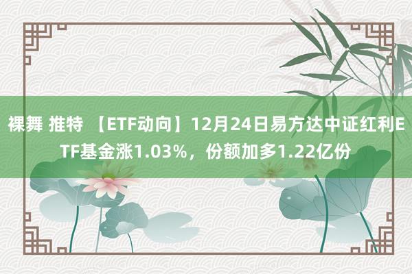 裸舞 推特 【ETF动向】12月24日易方达中证红利ETF基金涨1.03%，份额加多1.22亿份