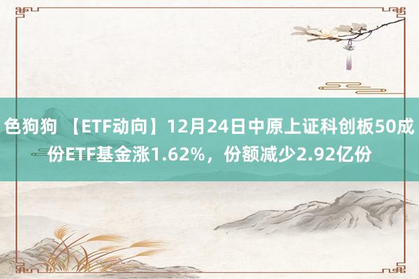 色狗狗 【ETF动向】12月24日中原上证科创板50成份ETF基金涨1.62%，份额减少2.92亿份