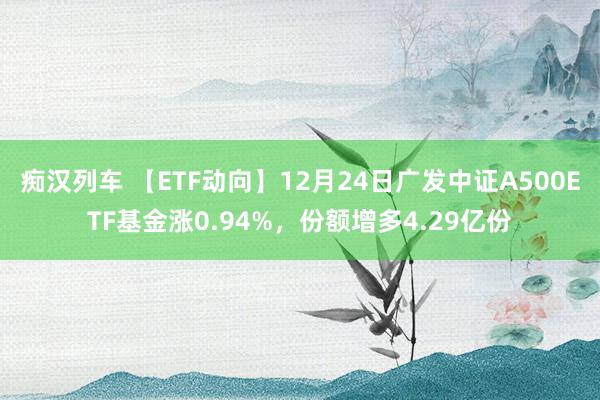 痴汉列车 【ETF动向】12月24日广发中证A500ETF基金涨0.94%，份额增多4.29亿份