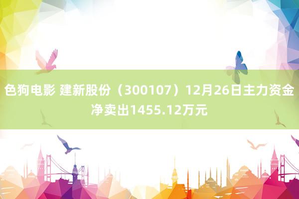 色狗电影 建新股份（300107）12月26日主力资金净卖出1455.12万元