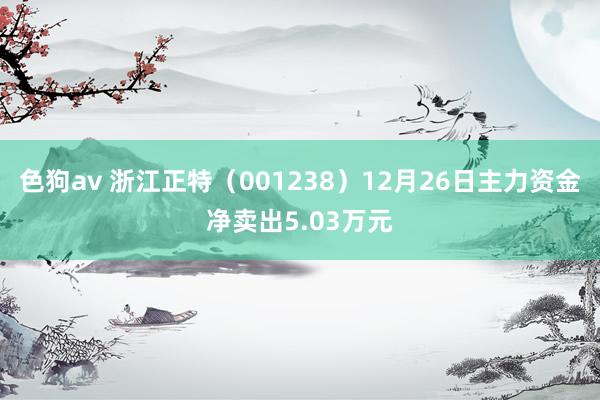 色狗av 浙江正特（001238）12月26日主力资金净卖出5.03万元
