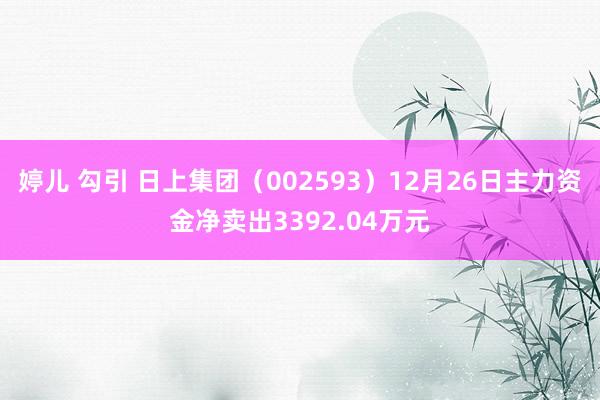 婷儿 勾引 日上集团（002593）12月26日主力资金净卖出3392.04万元