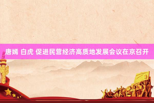 唐嫣 白虎 促进民营经济高质地发展会议在京召开