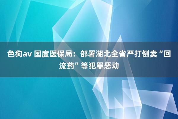 色狗av 国度医保局：部署湖北全省严打倒卖“回流药”等犯罪恶动