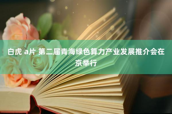 白虎 a片 第二届青海绿色算力产业发展推介会在京举行