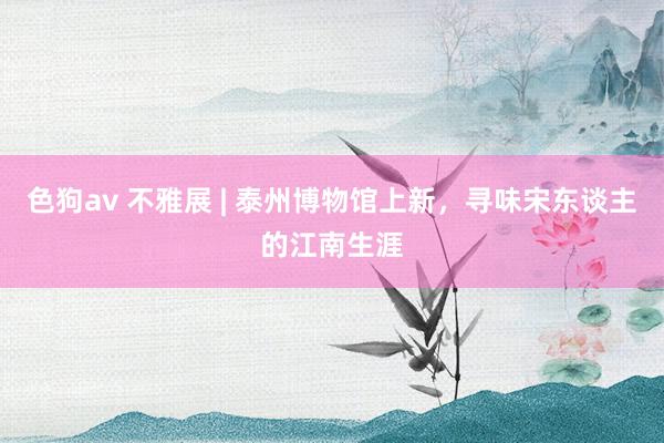 色狗av 不雅展 | 泰州博物馆上新，寻味宋东谈主的江南生涯