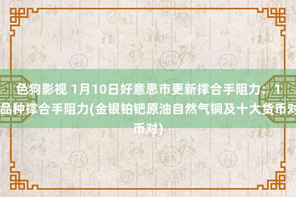 色狗影视 1月10日好意思市更新撑合手阻力：18品种撑合手阻力(金银铂钯原油自然气铜及十大货币对)