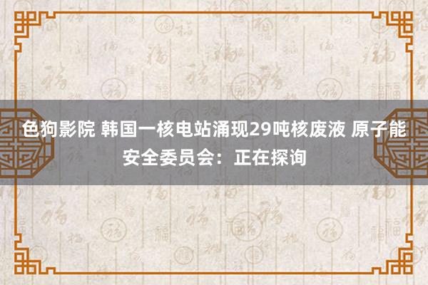 色狗影院 韩国一核电站涌现29吨核废液 原子能安全委员会：正在探询