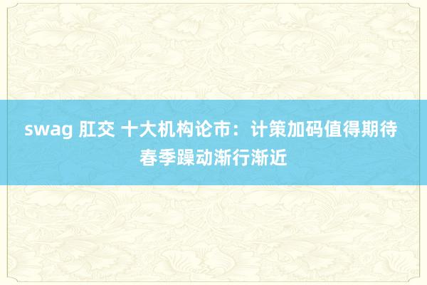 swag 肛交 十大机构论市：计策加码值得期待 春季躁动渐行渐近