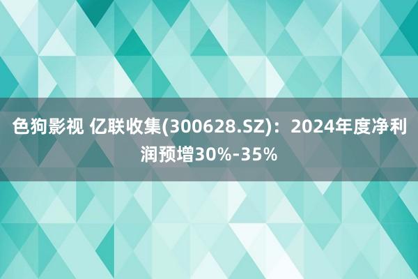 色狗影视 亿联收集(300628.SZ)：2024年度净利润预增30%-35%