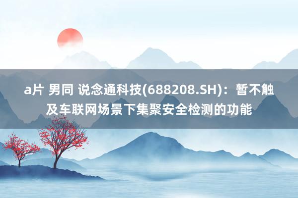a片 男同 说念通科技(688208.SH)：暂不触及车联网场景下集聚安全检测的功能